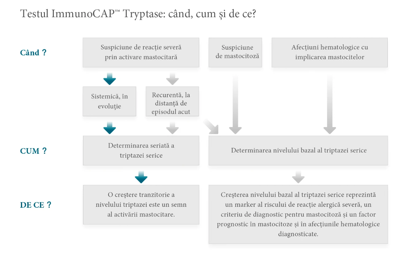 Testul ImmunoCAP Tryptase: cand se indica, cum se determina si ce semnificatie are rezultatul