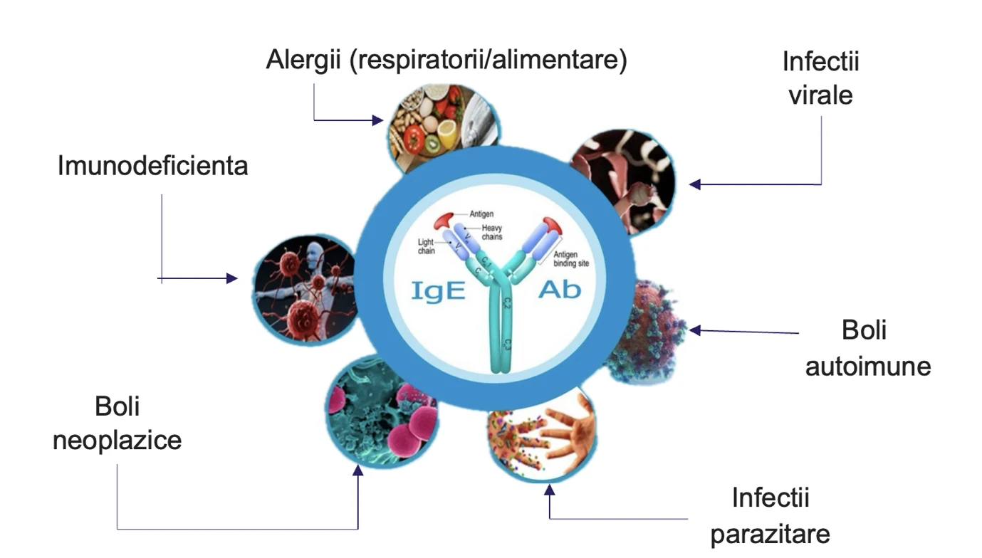 Afectiuni si situatii care pot determina cresterea IgE total, in afara bolilor alergice
