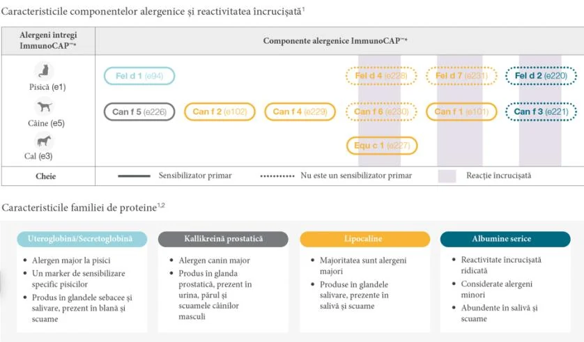 Componente alergenice la pisica, caine si alte animale