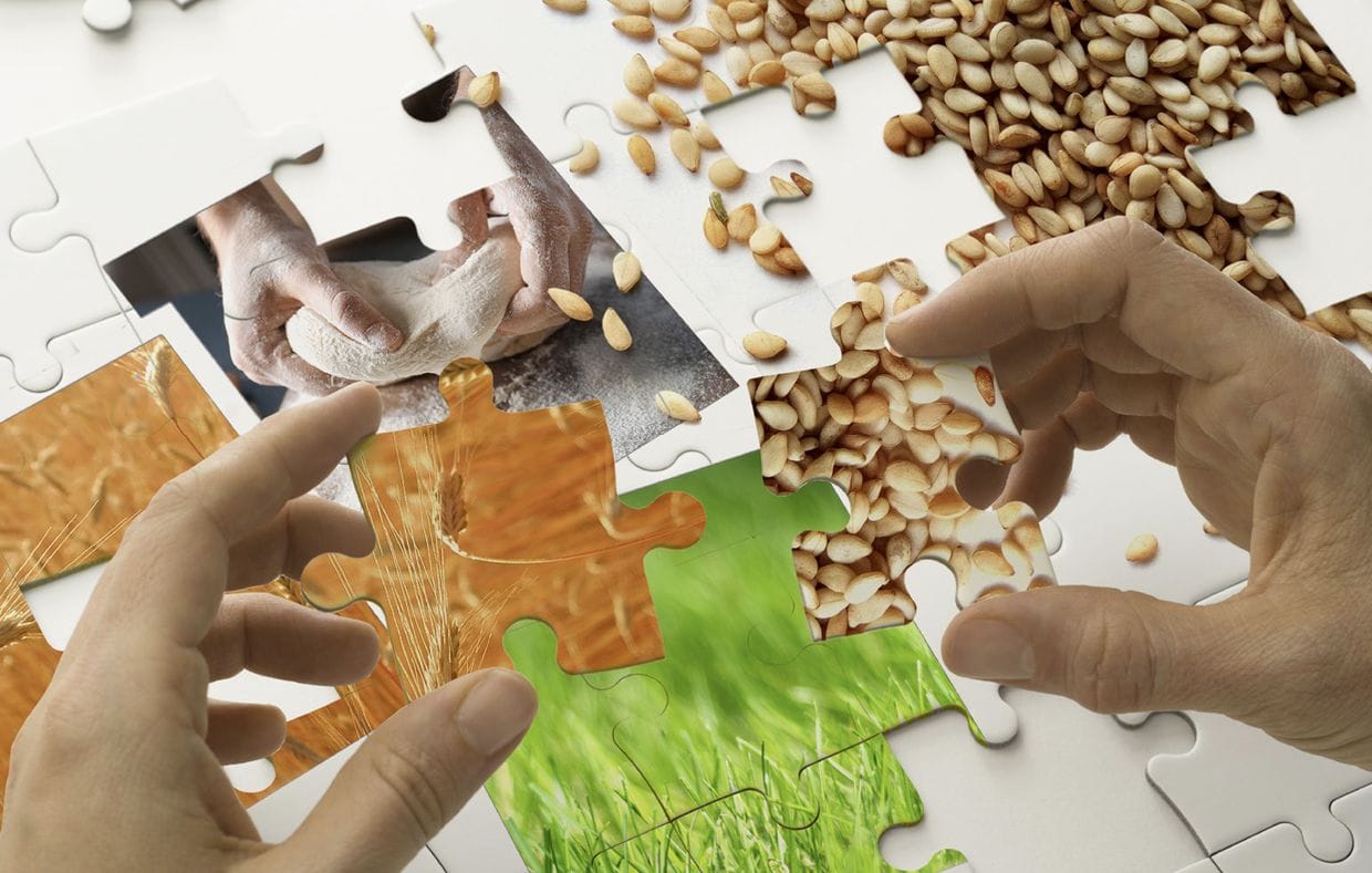 Piese de puzzle cu alimente, cereale si iarba, imagine a profilului complex de sensibilizare din alergie