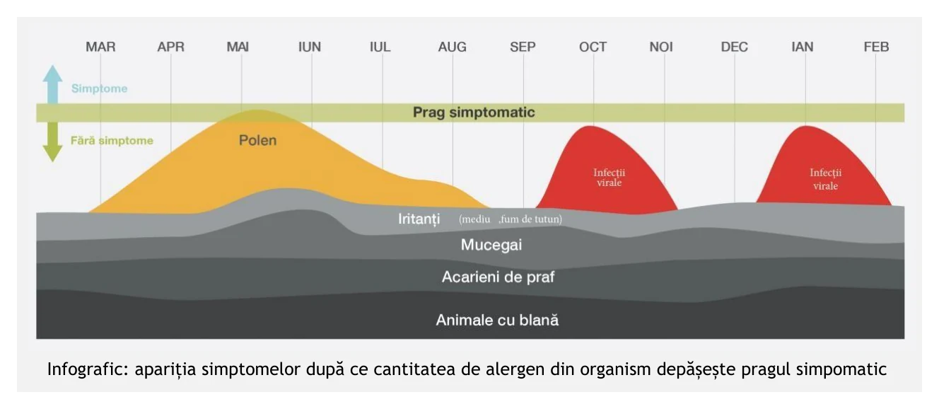 Infografic despre acumularea alergenilor si depasirea pragului simptomatic