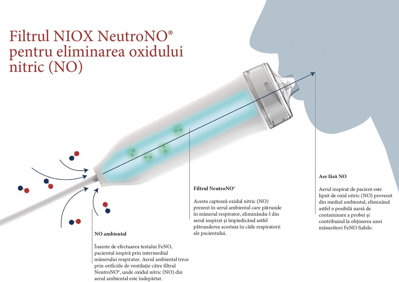 Schemă: cum elimină filtrul NIOX NeutroNO oxidul nitric din aerul ambiental înainte de testul FeNO